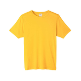 Family Vacation Dry-Fit T-Shirt (Mexico)