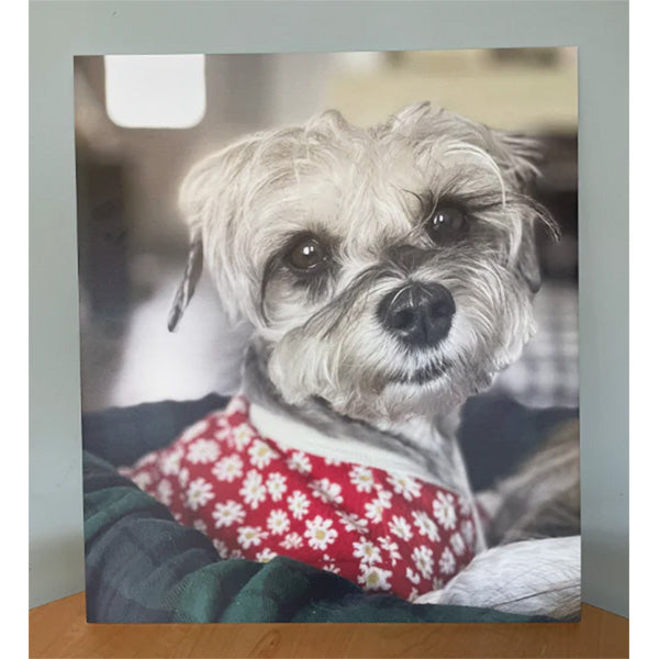 Foam Board Photo Print (4.5mm | 3/16" Thick)