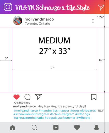 Custom Printed for Social Media Instagram /Facebook Selfie Frame Cutout, Marketing Photo Booth Prop in Foamcore material | Ship Flat Design