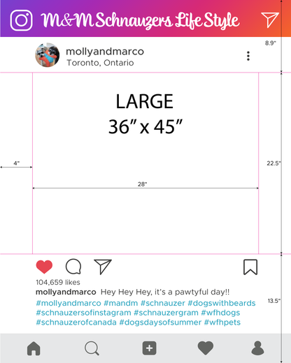 Custom Printed for Social Media Instagram /Facebook Selfie Frame Cutout, Marketing Photo Booth Prop in Foamcore material | Ship Flat Design