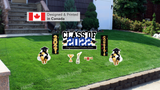 Graduation Sign Package – Custom Name Sign 24” Tall + Decors (Total 8 pcs) | Yard Sign Outdoor Lawn Decorations