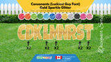 Consonants (Sparkle Glitter) 24" Tall Individual Lettering (Luckiest Guy Font) Total 14 pcs  | Birthday Yard Sign (Y-0389)
