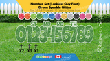Number Set (Sparkle Glitter) 24" Tall Individual Lettering (Luckiest Guy Font) Total 19 pcs | Birthday Yard Sign (Y-0399)