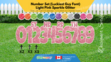 Number Set (Sparkle Glitter) 24" Tall Individual Lettering (Luckiest Guy Font) Total 19 pcs | Birthday Yard Sign (Y-0399)