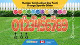 Number Set (Sparkle Glitter) 24" Tall Individual Lettering (Luckiest Guy Font) Total 19 pcs | Birthday Yard Sign (Y-0399)