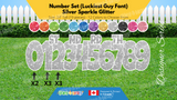 Number Set (Sparkle Glitter) 24" Tall Individual Lettering (Luckiest Guy Font) Total 19 pcs | Birthday Yard Sign (Y-0399)