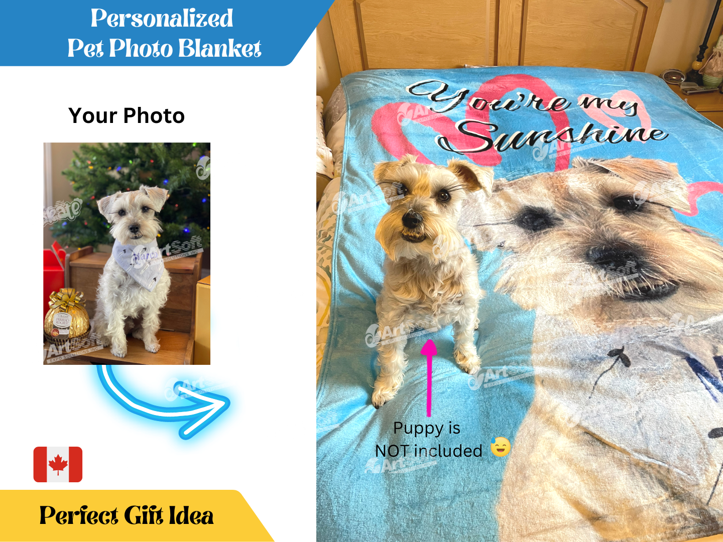 Personalized Photo Blankets
