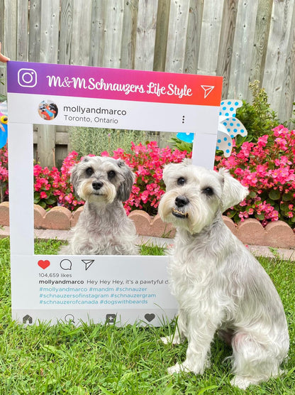 Custom Printed for Social Media Instagram /Facebook Selfie Frame Cutout, Marketing Photo Booth Prop in Foamcore material | Ship Flat Design