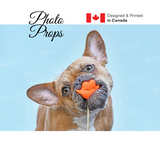 Large Custom Photo Props Cutout Signs for Photo Booth props , Party Props, Corporate Events, Social Media, Weddings and much more.